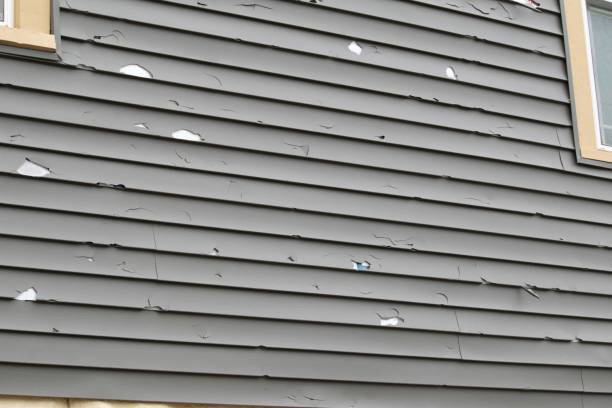 Best Steel Siding Installation  in Portage, IN