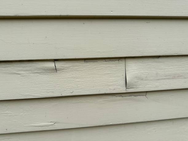 Best Insulated Siding Installation  in Portage, IN